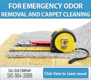 Our Infographic | Carpet Cleaning Berkeley, CA