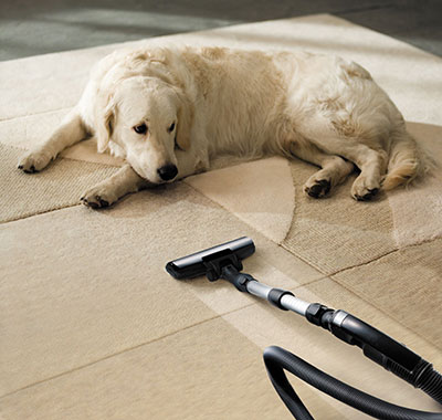 Residential Carpet Cleaning